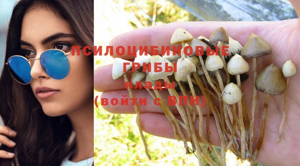 бошки Аркадак