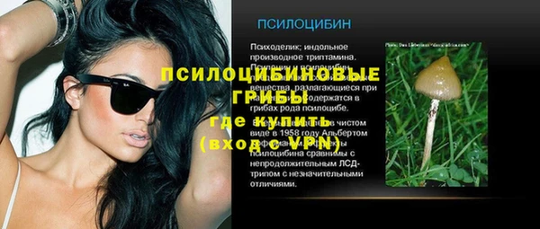 бошки Аркадак