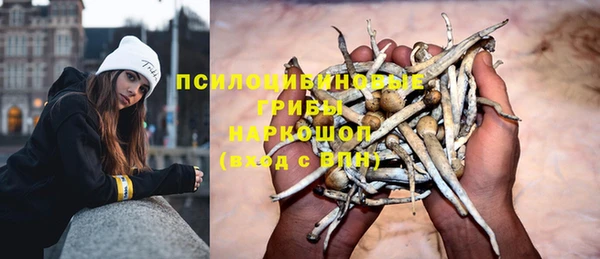 бошки Аркадак