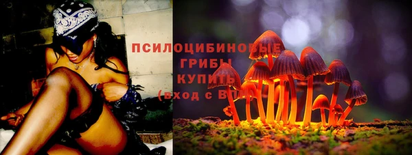 PSILOCYBIN Пролетарск